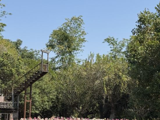 金邊愛米昂酒店優惠