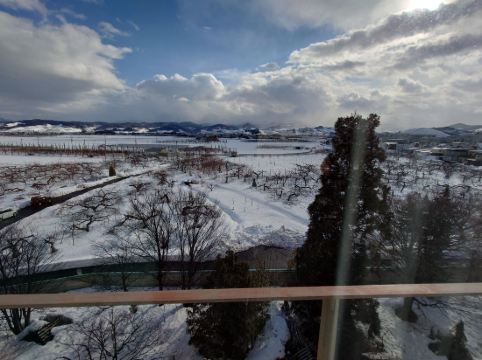 津軽南田温泉 ホテルアップルランド クーポン