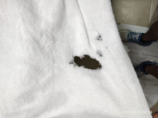 新濠潤假日酒店濠通樓（珠海拱北口岸店）優惠