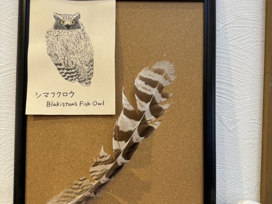 斯瑞濤看塞萊民宿優惠