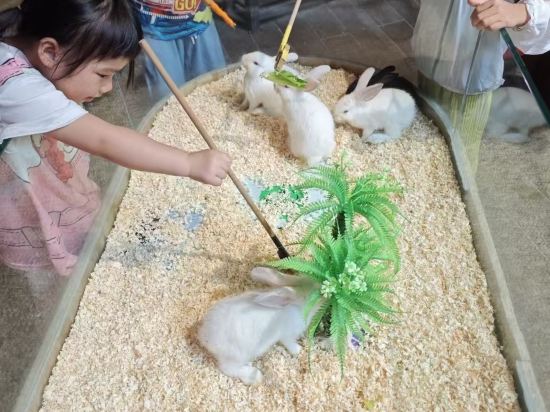 萬敏親子主題公寓（廣州番禺萬達廣場店）優惠