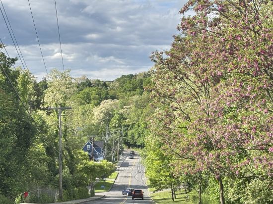 康奈爾大學斯塔特勒酒店優惠