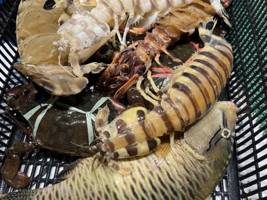 仙本那西巴丹酒店 2優惠