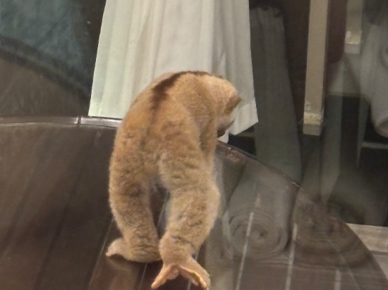 卡塔坦尼海岸泳池別墅- 僅限成人（SHA Extra Plus）優惠