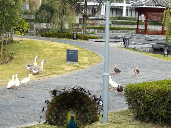 陽朔悦榕莊優惠