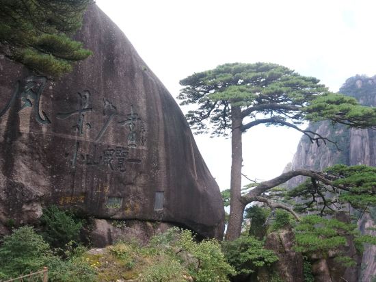 黃山獅林大酒店優惠