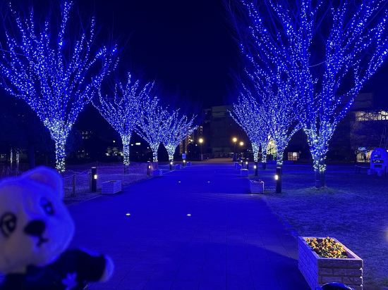 東横 INNつくばエクスプレス三郷中央駅 クーポン