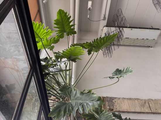 艾爾昂飯店優惠