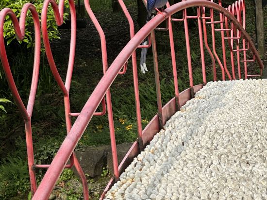 陽明温泉渡假村優惠