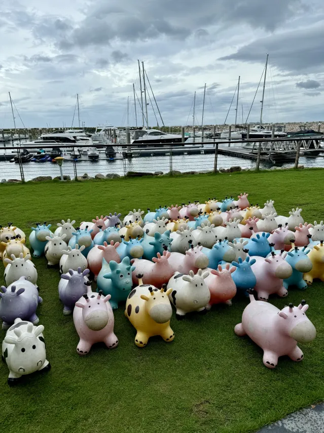 深圳浪騎瞻雲度假酒店用戶評價
