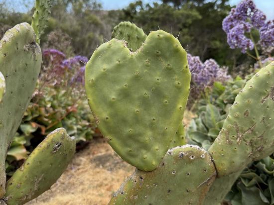 聖西蒙摩根酒店優惠