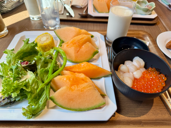 札幌索拉利亞西鐵飯店優惠