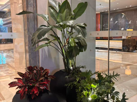 瀋陽香格里拉優惠