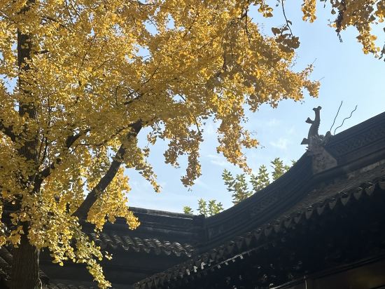 蘇州·璞宿飯店（觀前街拙政園店）優惠