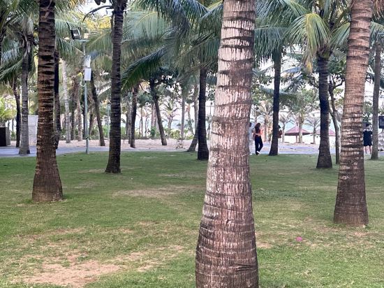 三亞海棠灣喜來登度假酒店優惠