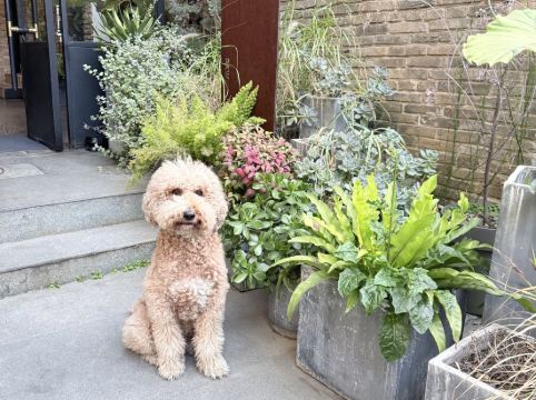 花築奢·Raw酒店（金馬碧雞翠湖昆明店）優惠