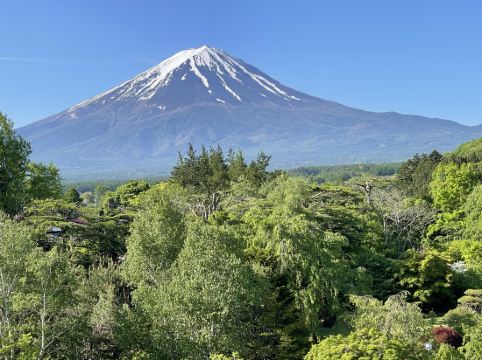 富士ビューホテル クーポン