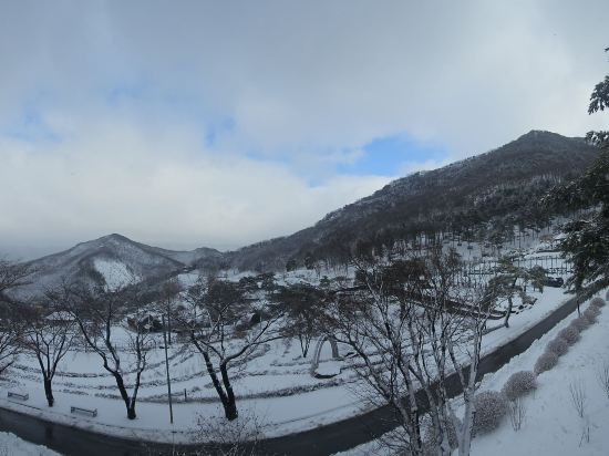 나인밸리파크 쿠폰