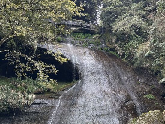 南投溪頭聽濤園渡假山莊優惠