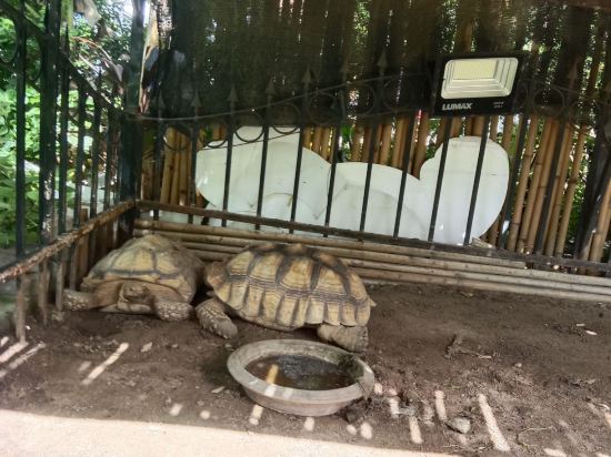 薩拜旅館優惠