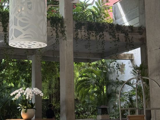 庫塔阿姆納雅酒店優惠