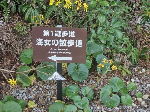 御宿 The Earth クーポン