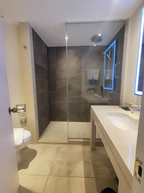 هيلتون رمسيس الغرف Photos