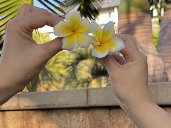 藍天國際青年旅舍（三亞大東海店）優惠