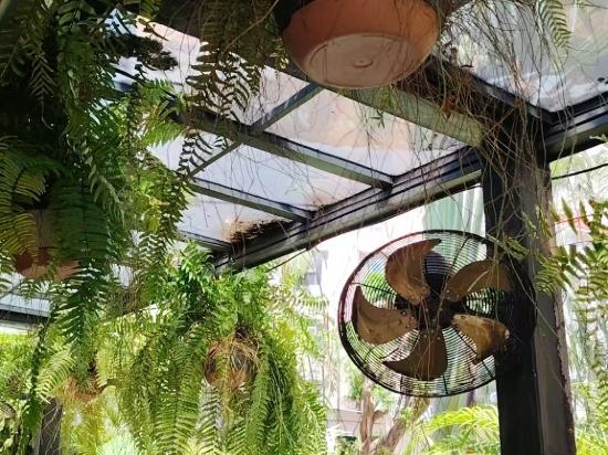 三亞背包客國際青年旅舍優惠