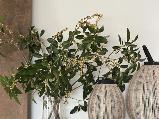 陽朔在水一方酒店優惠