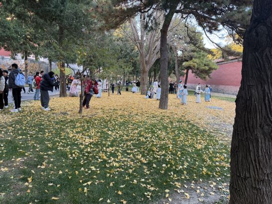 北京禮士智選假日飯店優惠
