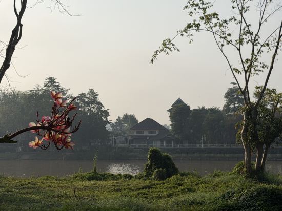 清萊皇河屋度假酒店（SHA Extra Plus）優惠