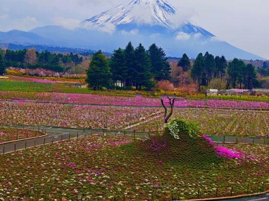 伽羅瓦新大久保酒店優惠