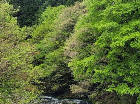 Sakaya Hanjiro クーポン