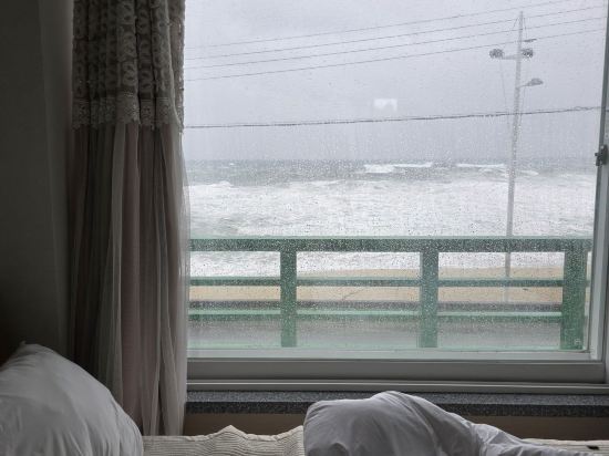 강릉 한들펜션 쿠폰