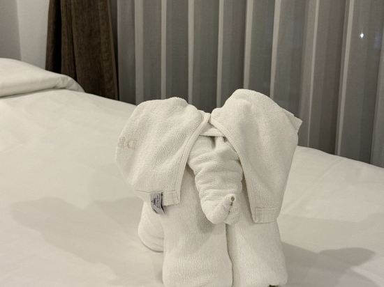 貓小伊-清邁梅花鹿泳池度假村優惠