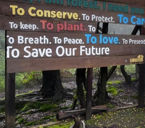雅加達西普特拉酒店由瑞士貝爾酒店國際管理優惠