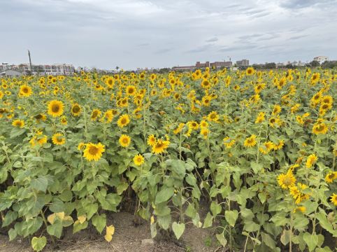 和逸飯店（台南西門館）優惠