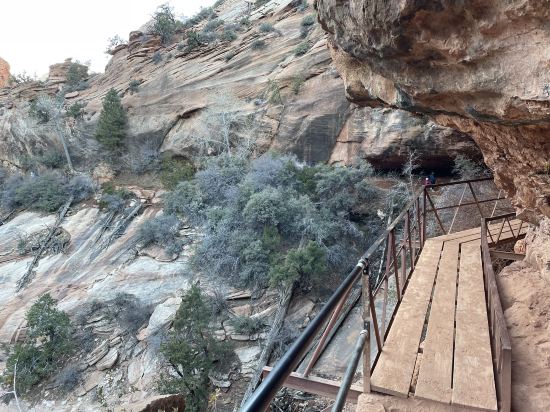 威爾金蓋特威錫安拉奎因塔套房酒店優惠