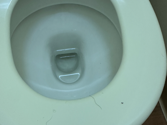 宜必思快捷酒店 - 悉尼奧林匹克公園優惠