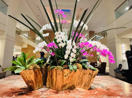 洛杉磯機場希爾頓酒店優惠