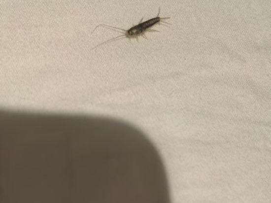 維納斯皇家酒店（佛山魁奇地鐵站店）優惠