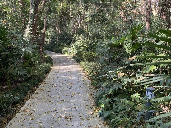 上海西郊賓館優惠