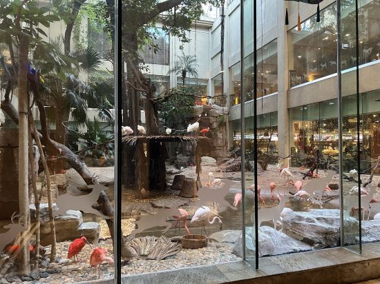 長隆酒店（廣州長隆野生動物世界店）優惠