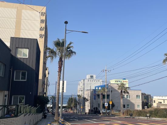 트레비 호텔 쿠폰