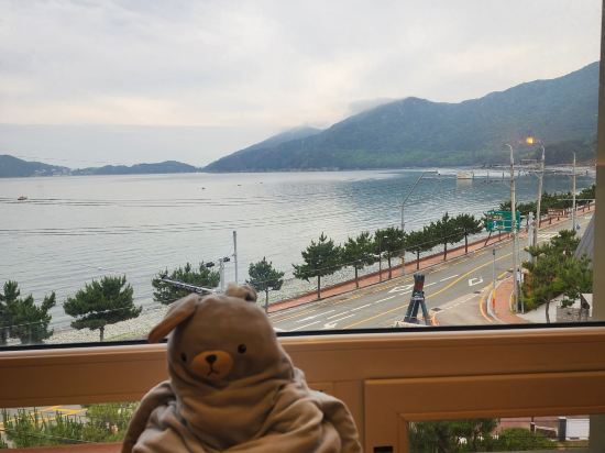 스터번호텔 쿠폰