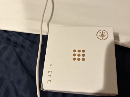 ホテルリブマックス日本橋小網町 クーポン