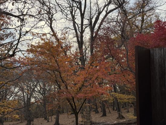 四季彩飯店優惠