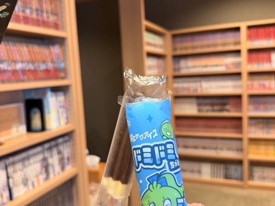 加賀寶泉御宿野乃金澤天然溫泉飯店優惠