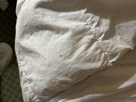 巴洛尼迪薩西大酒店優惠